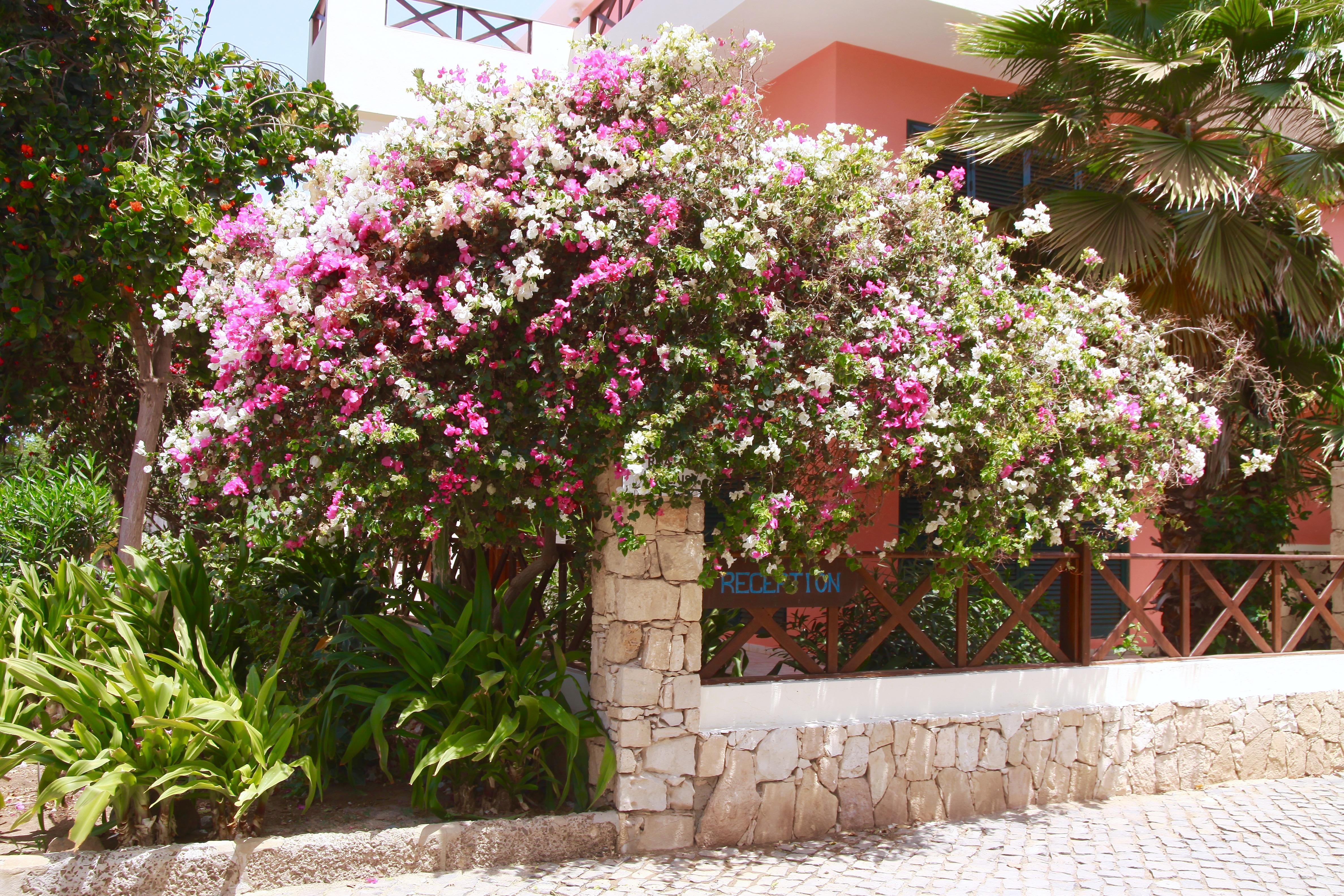 Aparthotel Ponta Preta Санта Мария Екстериор снимка